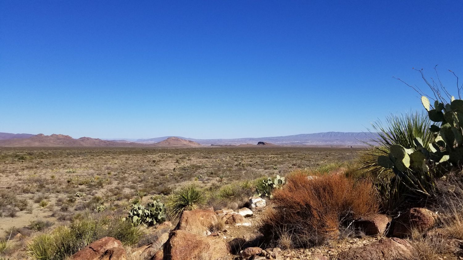 Lone Mountain Hike 